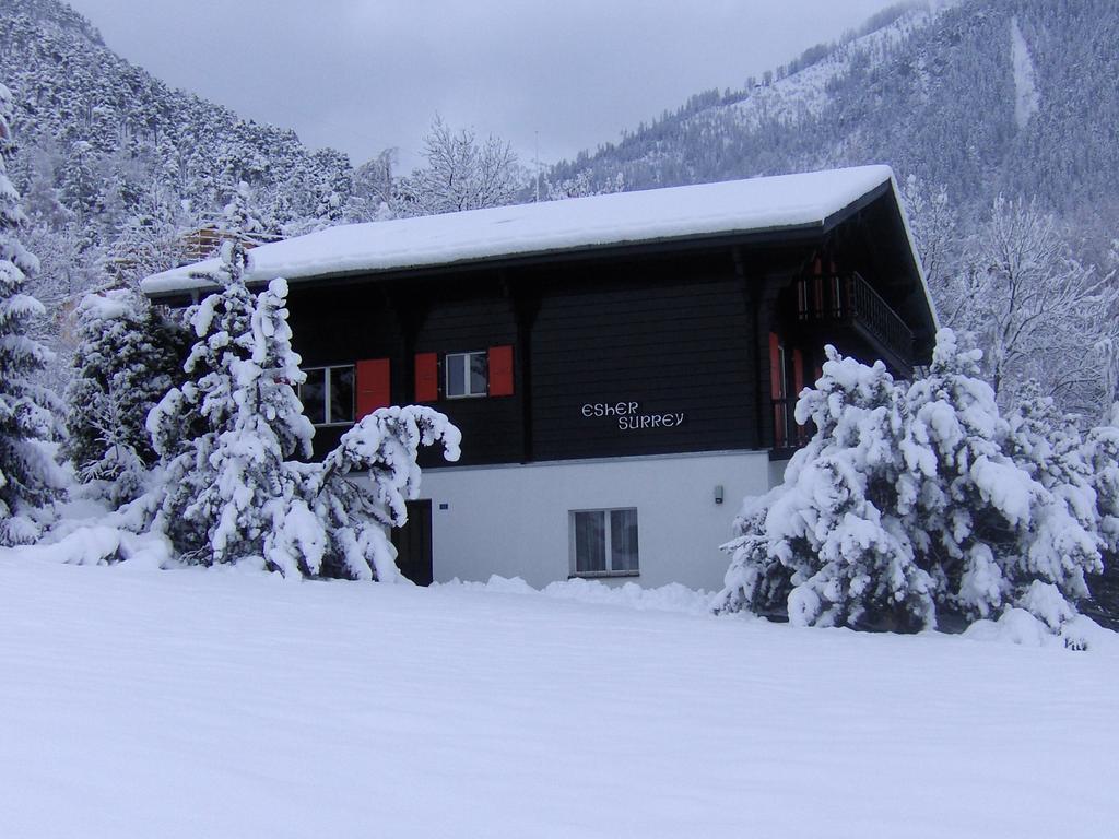 Chalet Esher Surrey Ried-Brig Стая снимка